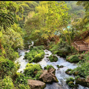 Meet your Posher, Gloria